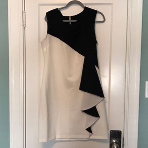 Black and White Chetta B Dress
